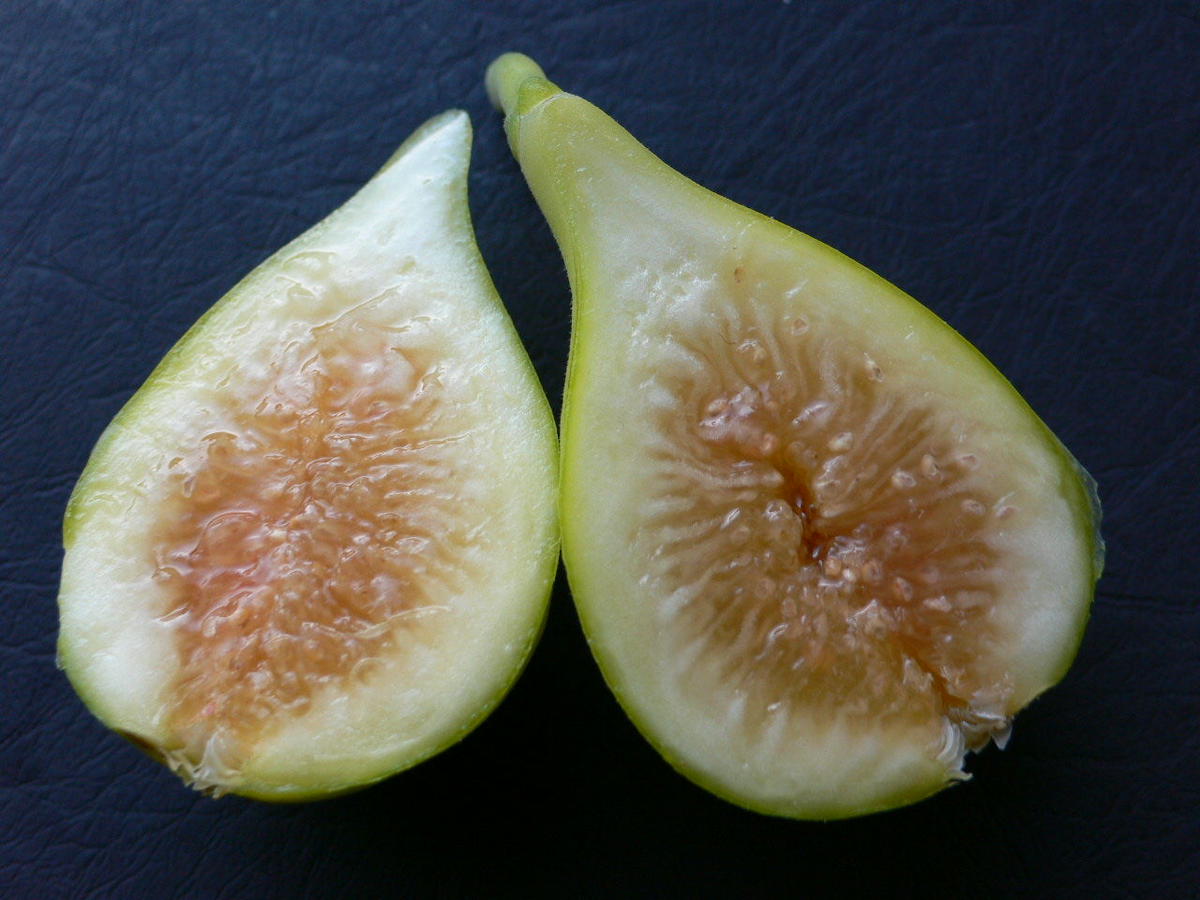 Champagne Lynx Fruit Collection