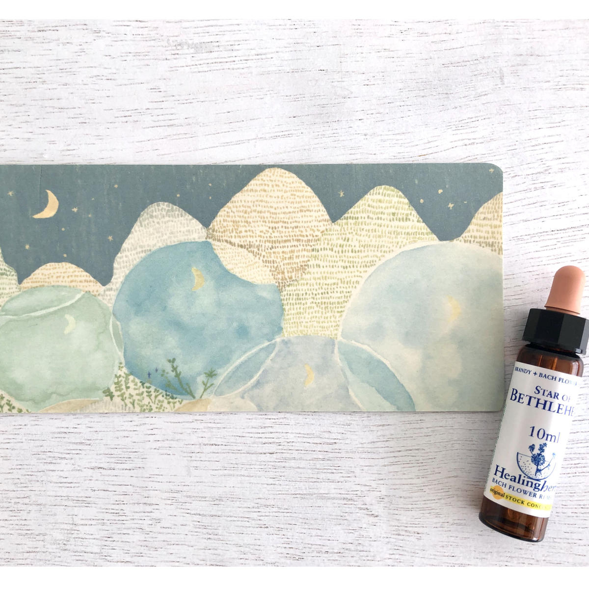 Star Of Bethlehem スター オブ ベツレヘム Flower Reme