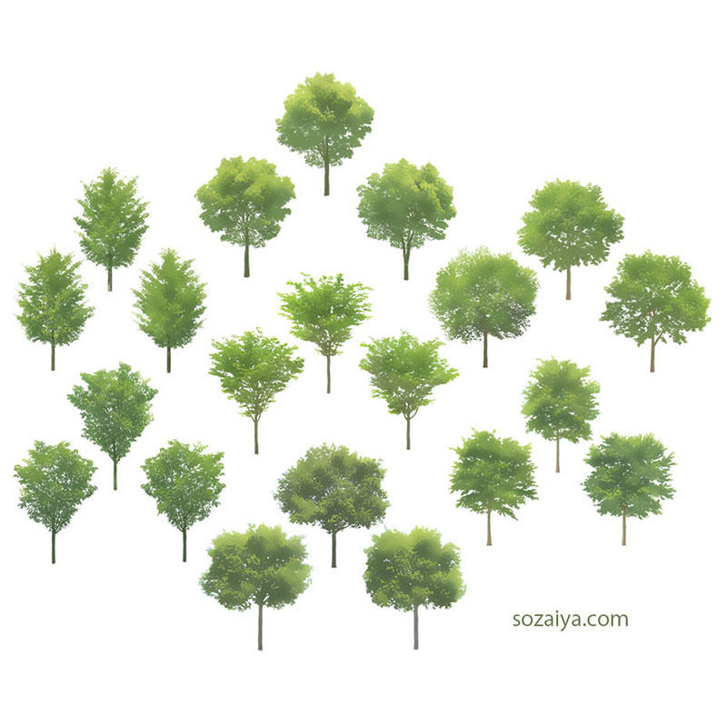 樹木イラスト 4e 001 人物イラスト Com フリー素材 People Illustr