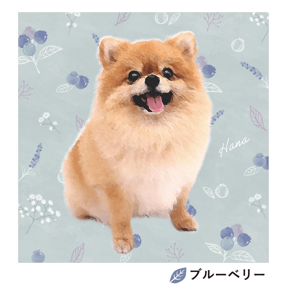 Confiture コンフィチュール S3サイズ 27 3 27 3cm Bo Confiture コンフィチュール S3サイズ 27 3 27 3cm Bo