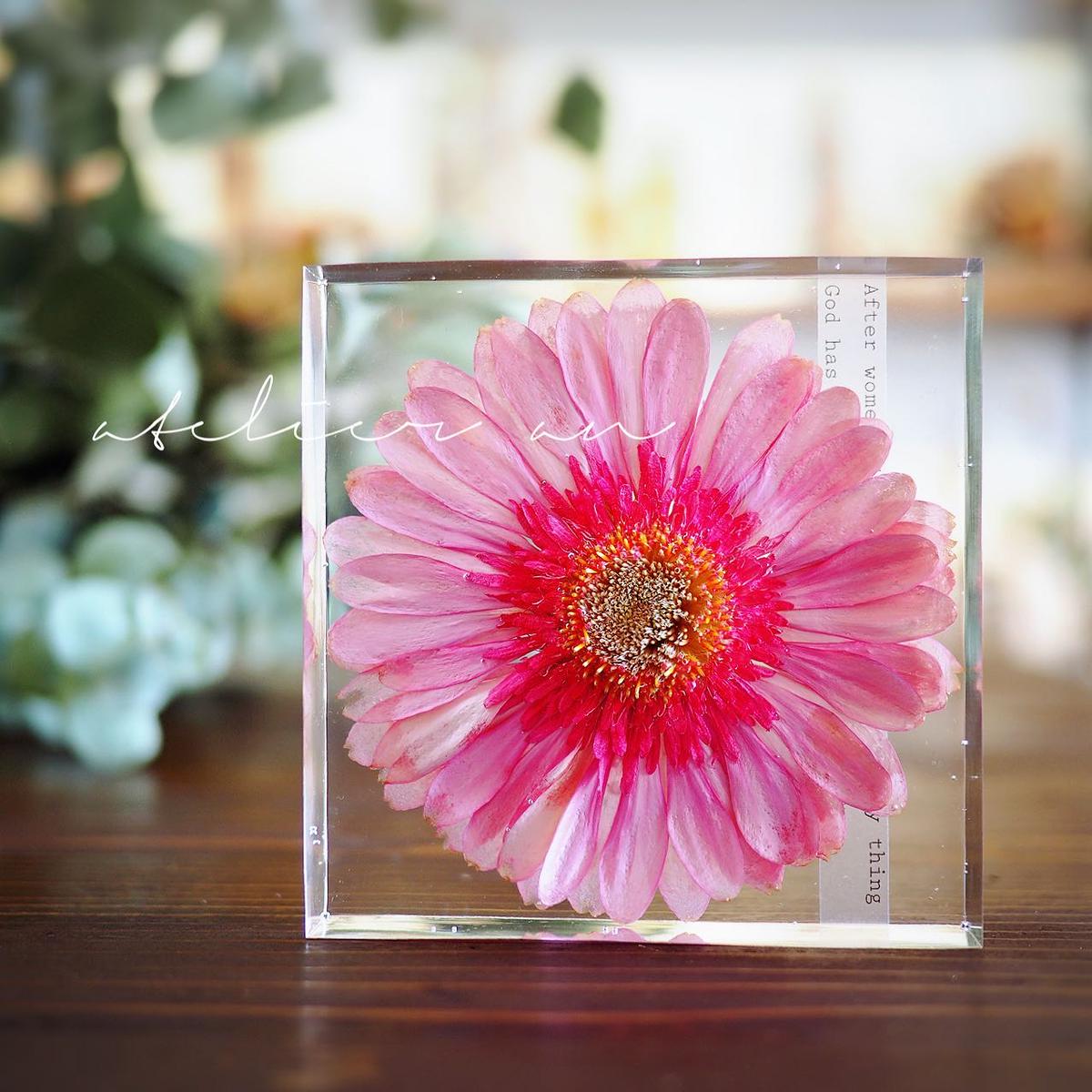 包装無料 送料無料 ピンク エレガント ガーベラ ハーバリウム 史上最も激安 Mahatmaacademy Com