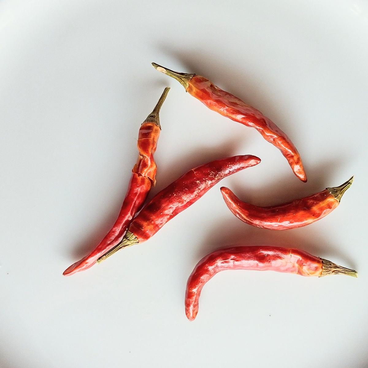 オーガニック 乾燥唐辛子 10g 量り売り マメケンマート