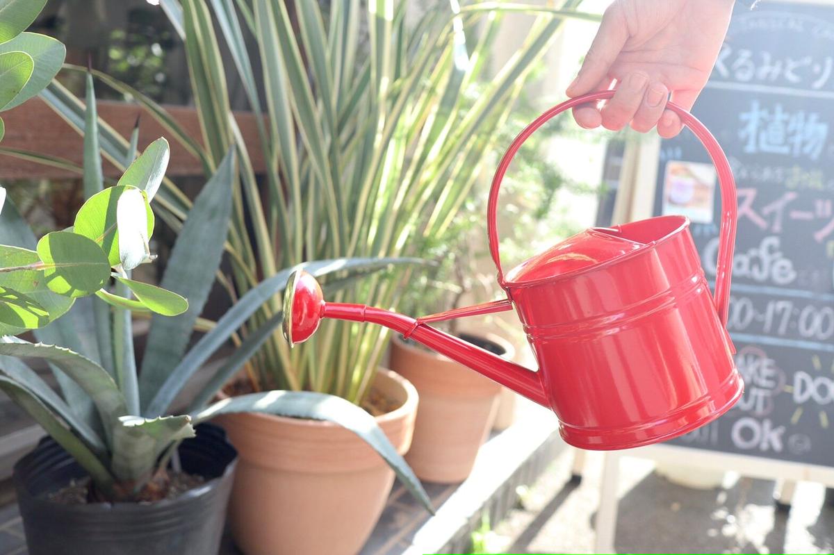 真っ赤で映えるジョウロはいかが Do Earth Greenジョウロ レッド Mana