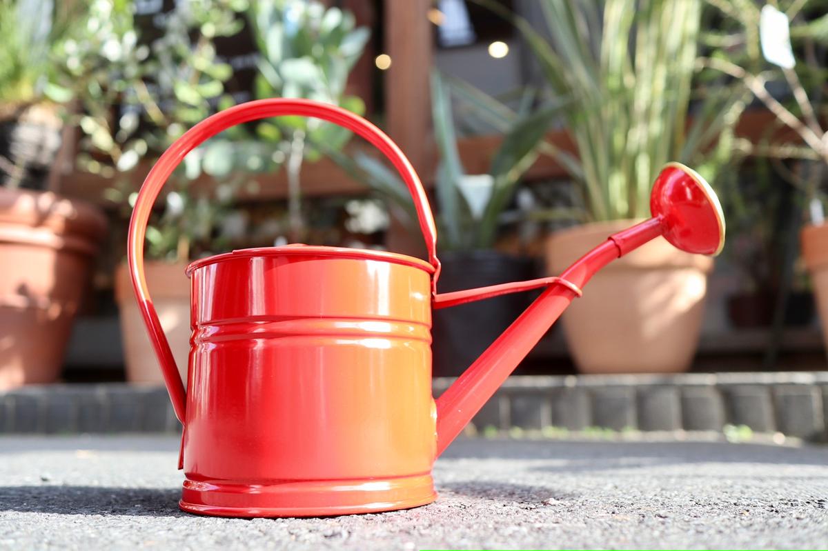 真っ赤で映えるジョウロはいかが Do Earth Greenジョウロ レッド Mana