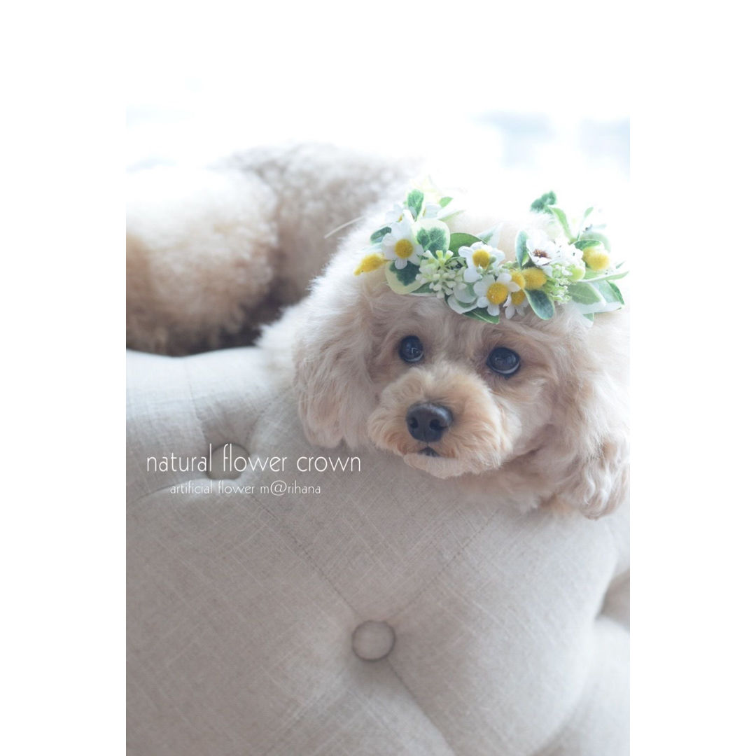 ナチュラル花かんむり M Rihana