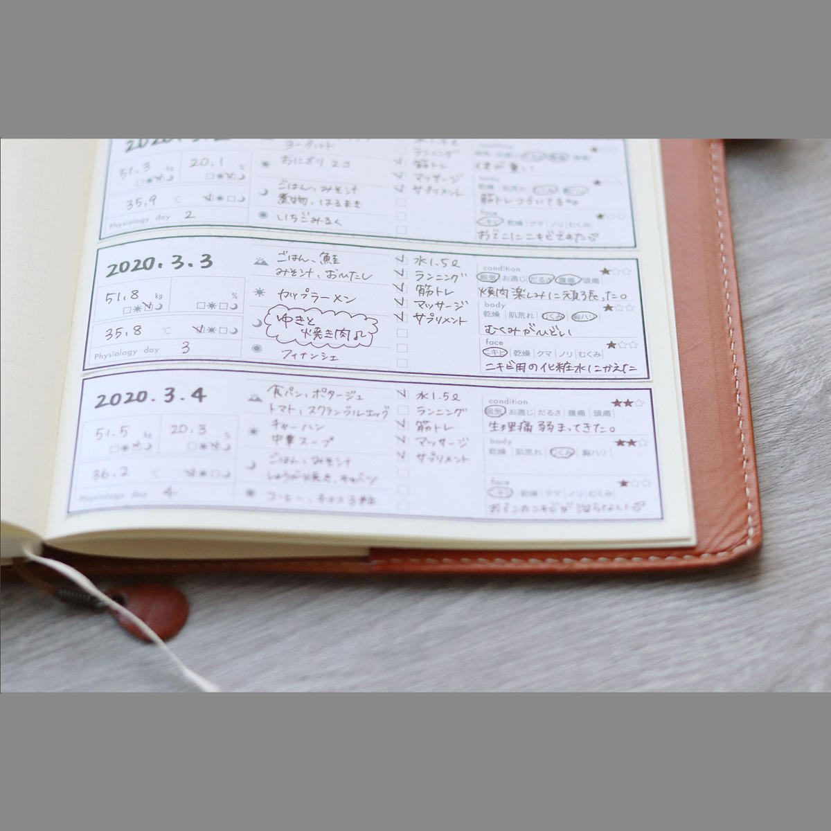 Pdf ヘルスログシート B6ノート用 Marilog Shop