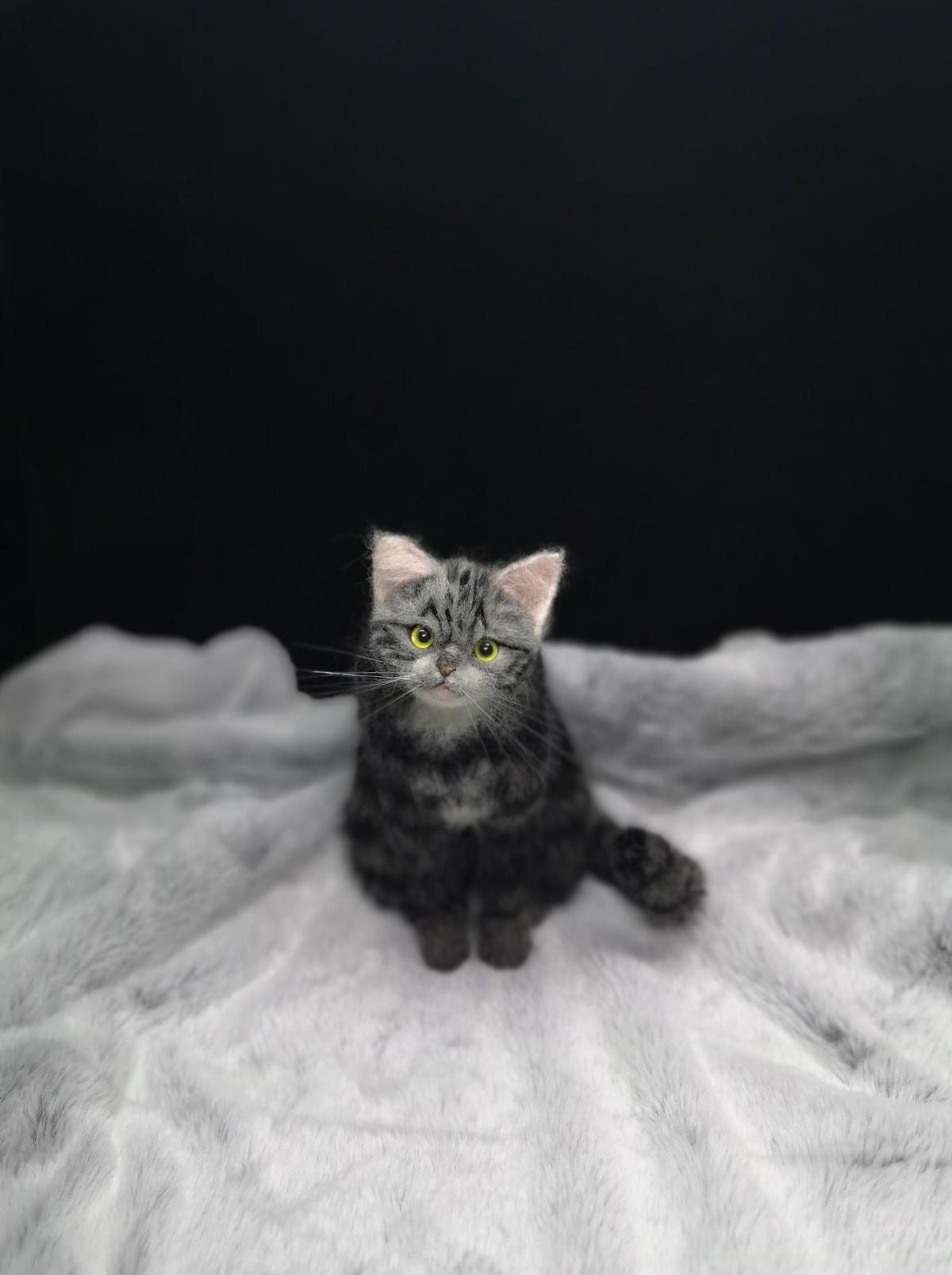 羊毛フェルト アメリカンショートヘア～お座りポーズ | まりんの家