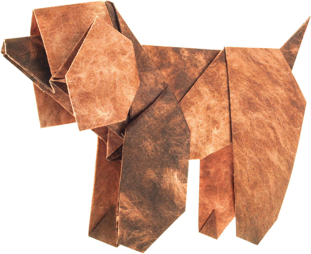 折り紙 G ダルメシアン トイプードル ダックスフンド マルモ印刷 折り紙 G ダルメシアン トイプードル ダックスフンド マルモ印刷