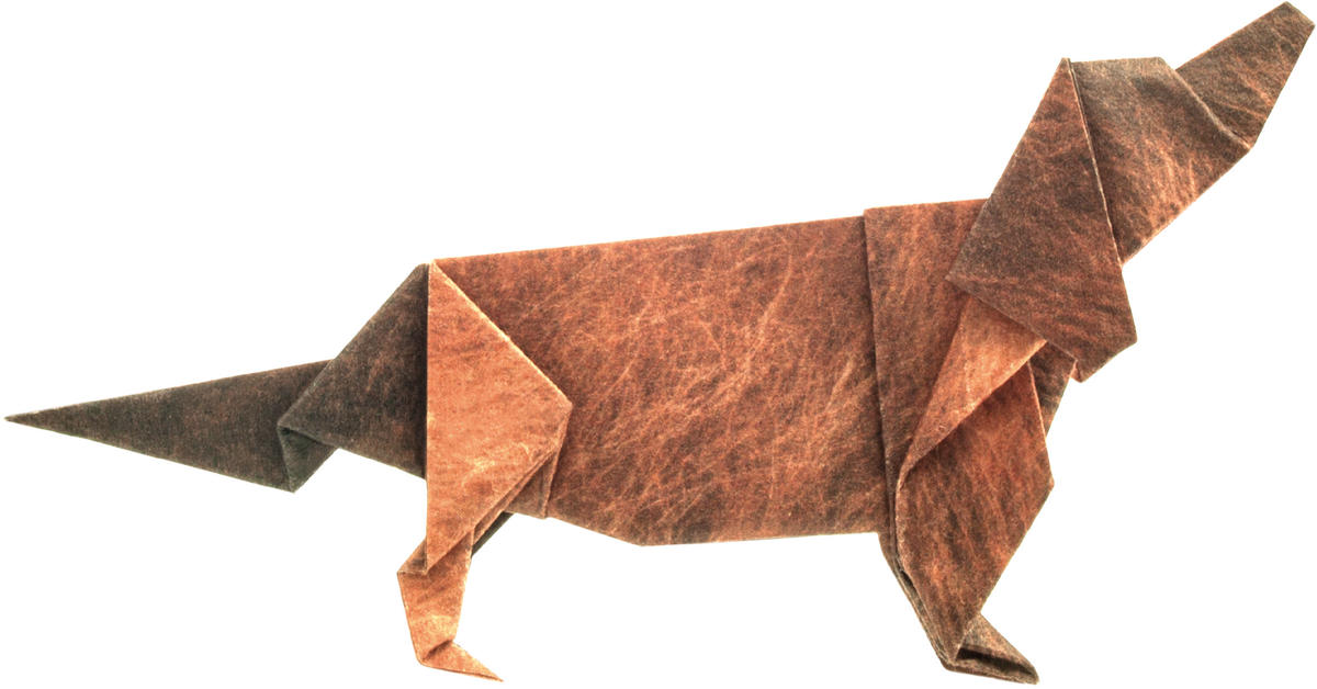 折り紙 G ダルメシアン トイプードル ダックスフンド マルモ印刷 折り紙 G ダルメシアン トイプードル ダックスフンド マルモ印刷