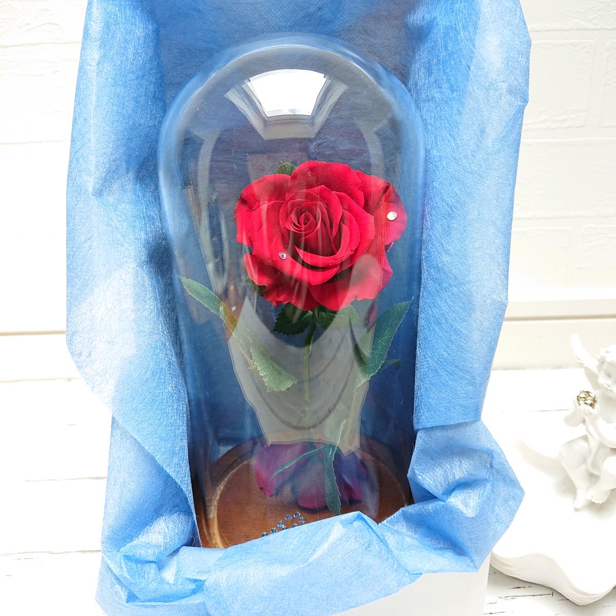 ガラスドームアレンジ 美女と野獣 プリザーブドフラワー 赤いバラ Masterwortstore