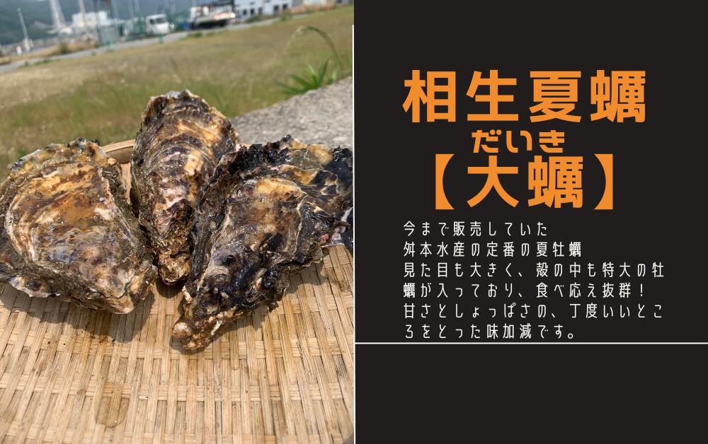 相生夏蠣 大蠣 30個セット 舛本水産