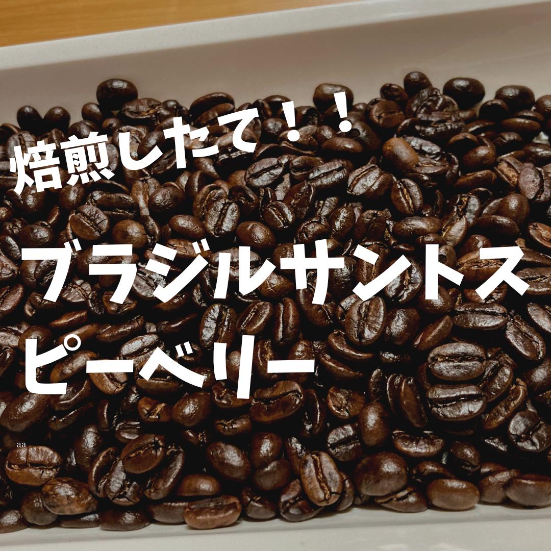 ブラジルサントスピーベリー 0g 自家焙煎コーヒー豆 Mk自家焙煎
