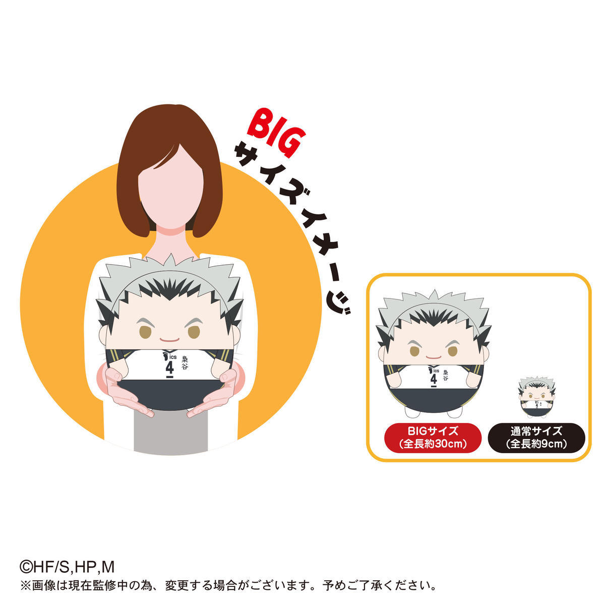ふわコロりんbig3 木兎 光太郎 Maxlimited Online Shop