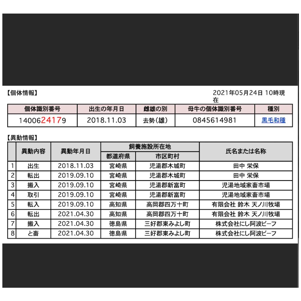 ハラル高知産黒毛和牛 100 ミンチ500g Wagyu Minced Me