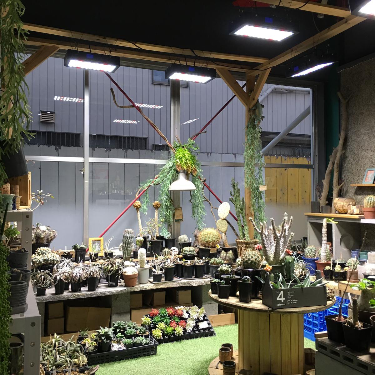Plantslight300 メデルオリジナル 植物育成用led ライト 多肉植物の店