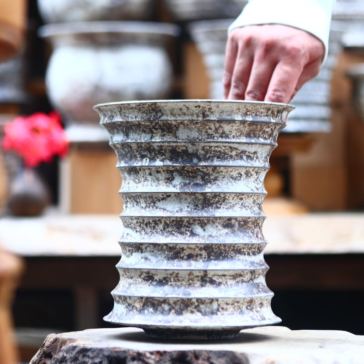 たけろうポット シロサビほか 3点セット 鉢・プランター 