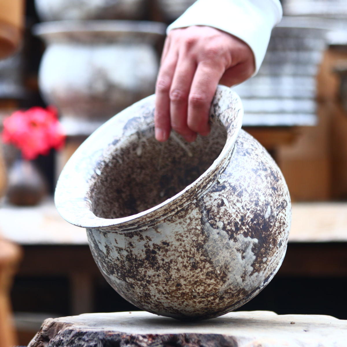 たけろうポット 植木鉢 鉢 たけろうポット 植木鉢 たけろうポット 鉢 【公式通販】 たけろう