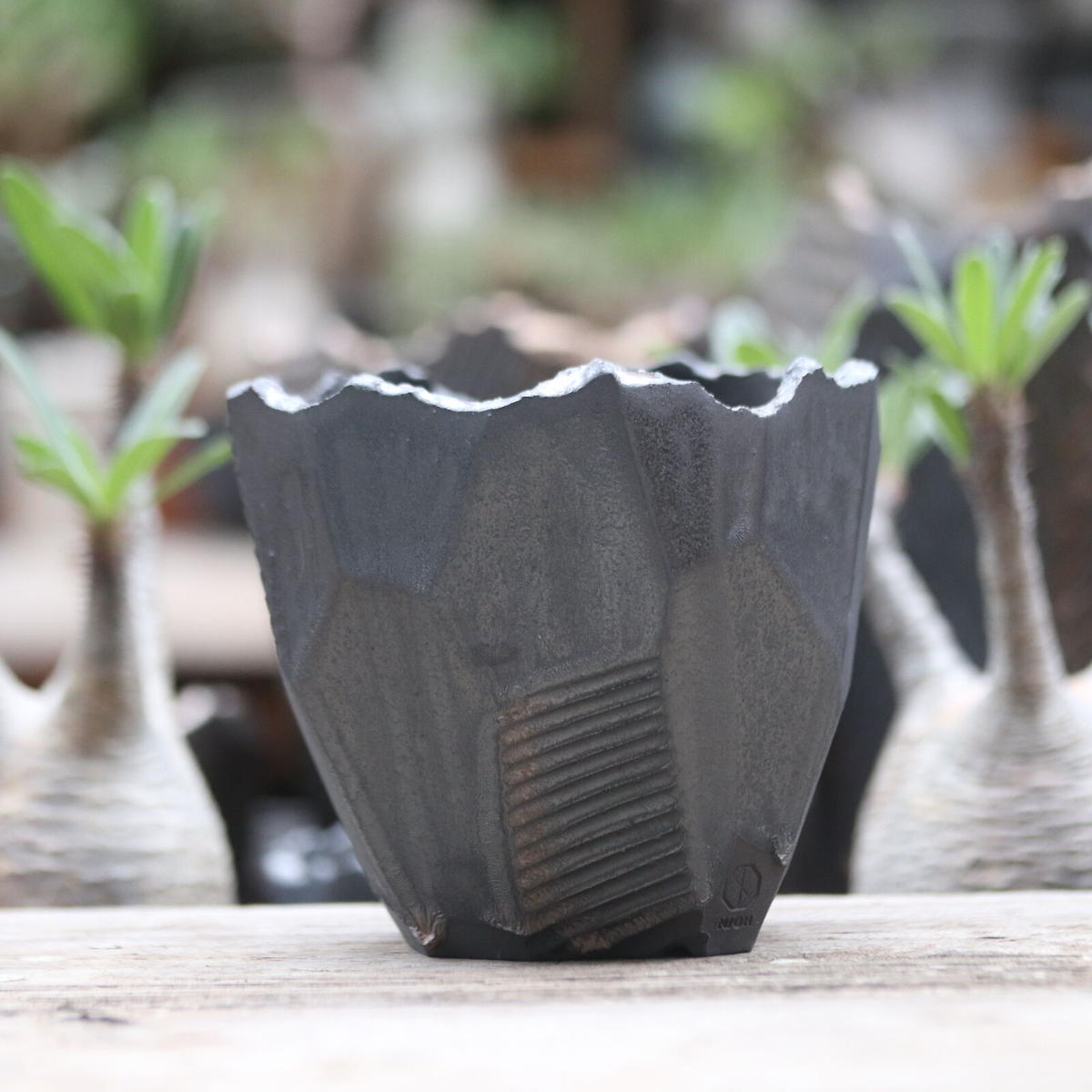 N/OH 陶器鉢 澪標 Mサイズ 澪標 | STORES