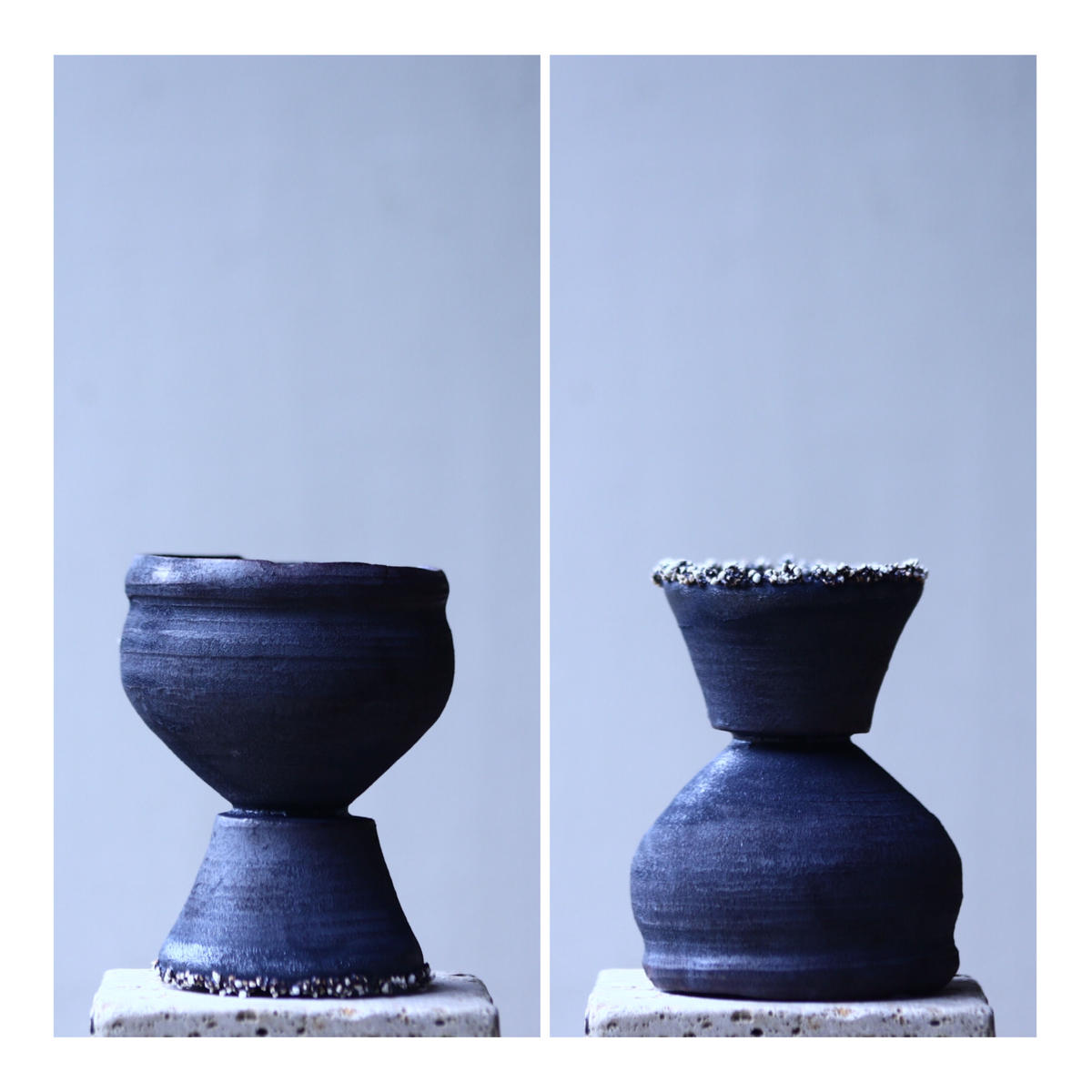 亀甲竜　芽の巣山　野中麟太郎 Rintaro Nonaka 亀甲竜芽の巣山野中麟太郎 Rintaro Nonaka