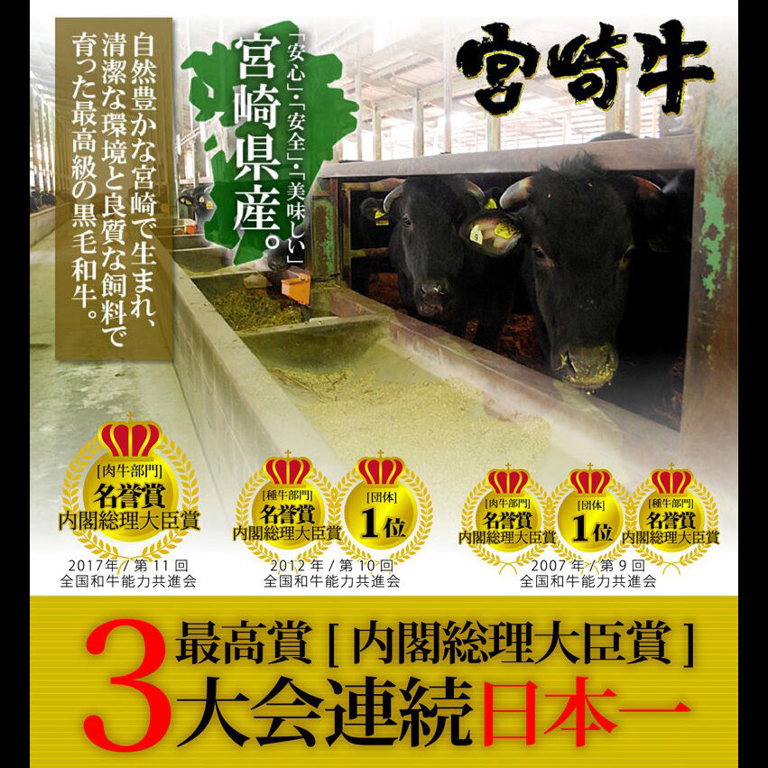 送料無料 A5 等級 宮崎牛ロース焼肉 Mfarm Store S