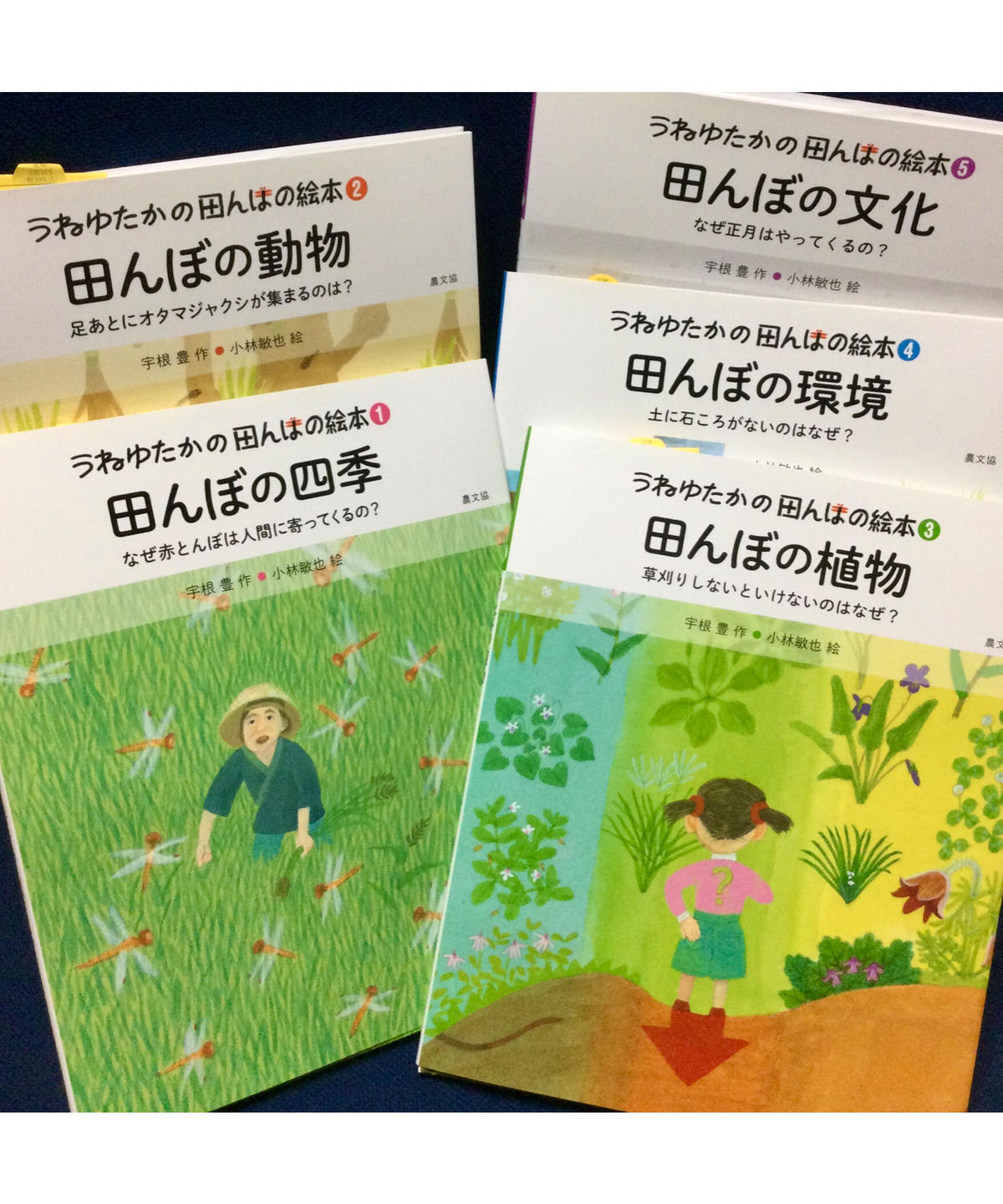 別注 農山漁村文化協会 絵本世界の食事新刊セット 全5巻 送料無料 正規品