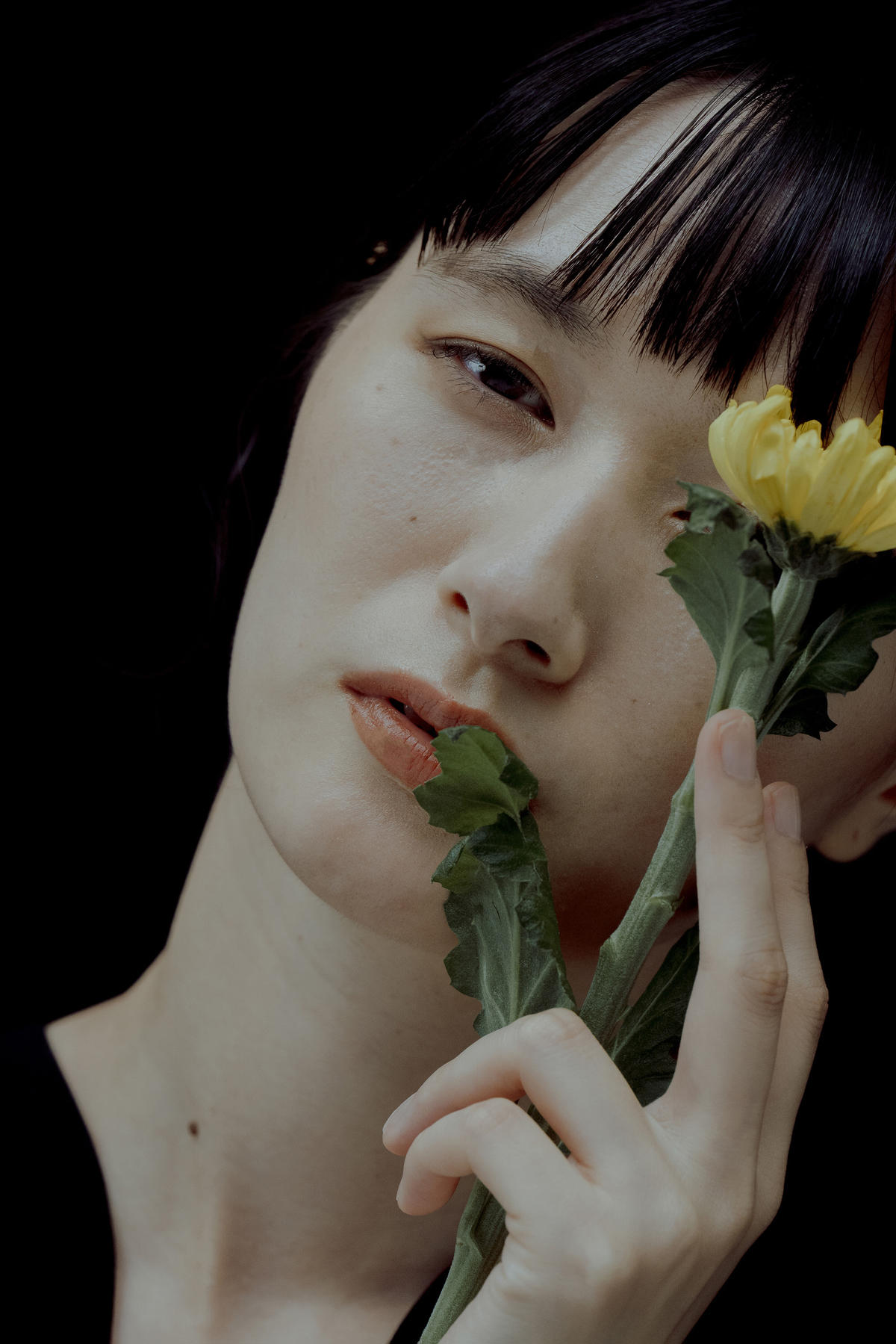 花を着るワンピース#05【菊】 | iCONOLOGY