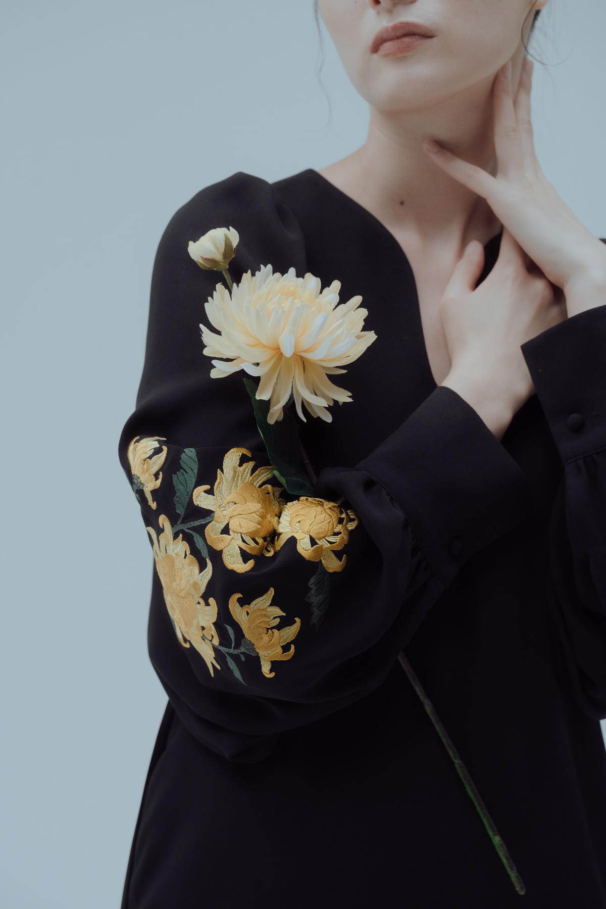 iconology 花を着るワンピース05菊 | vrealitybolivia.com