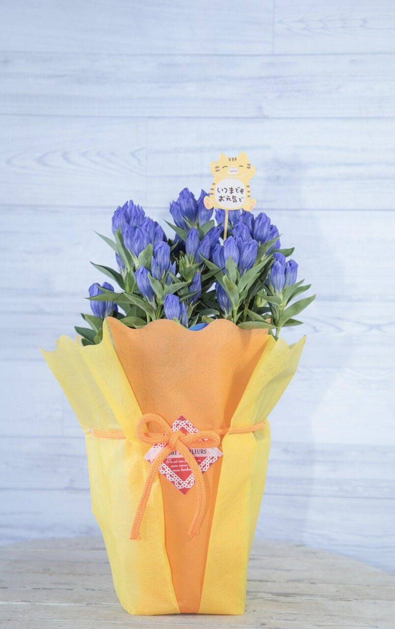 リンドウ ソープフラワー インターネット通販 花 マザー