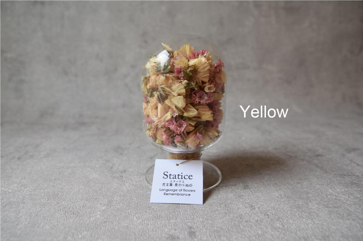 花言葉 スターチス Mio Dry Flower Shop