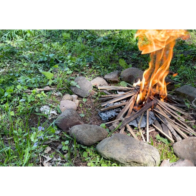 丸太・焚き木・竹チップなど