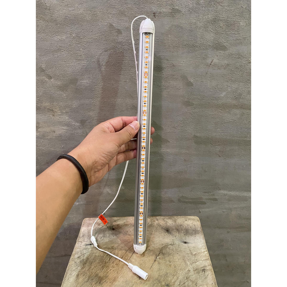 植物育成ライト Ledバータイプ 光合成 陸上植物 塊根植物 コーデックス 多肉植物 A