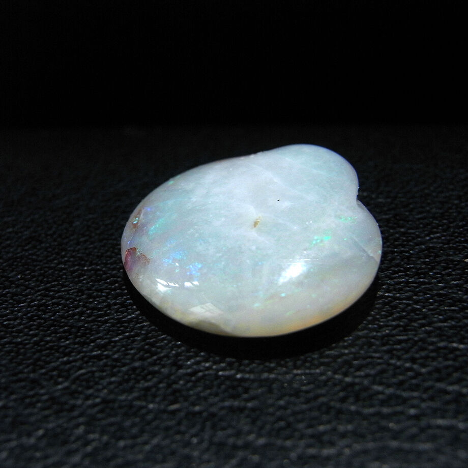 送料無料】シェルオパール☆貝の化石・オパール化シェル opal