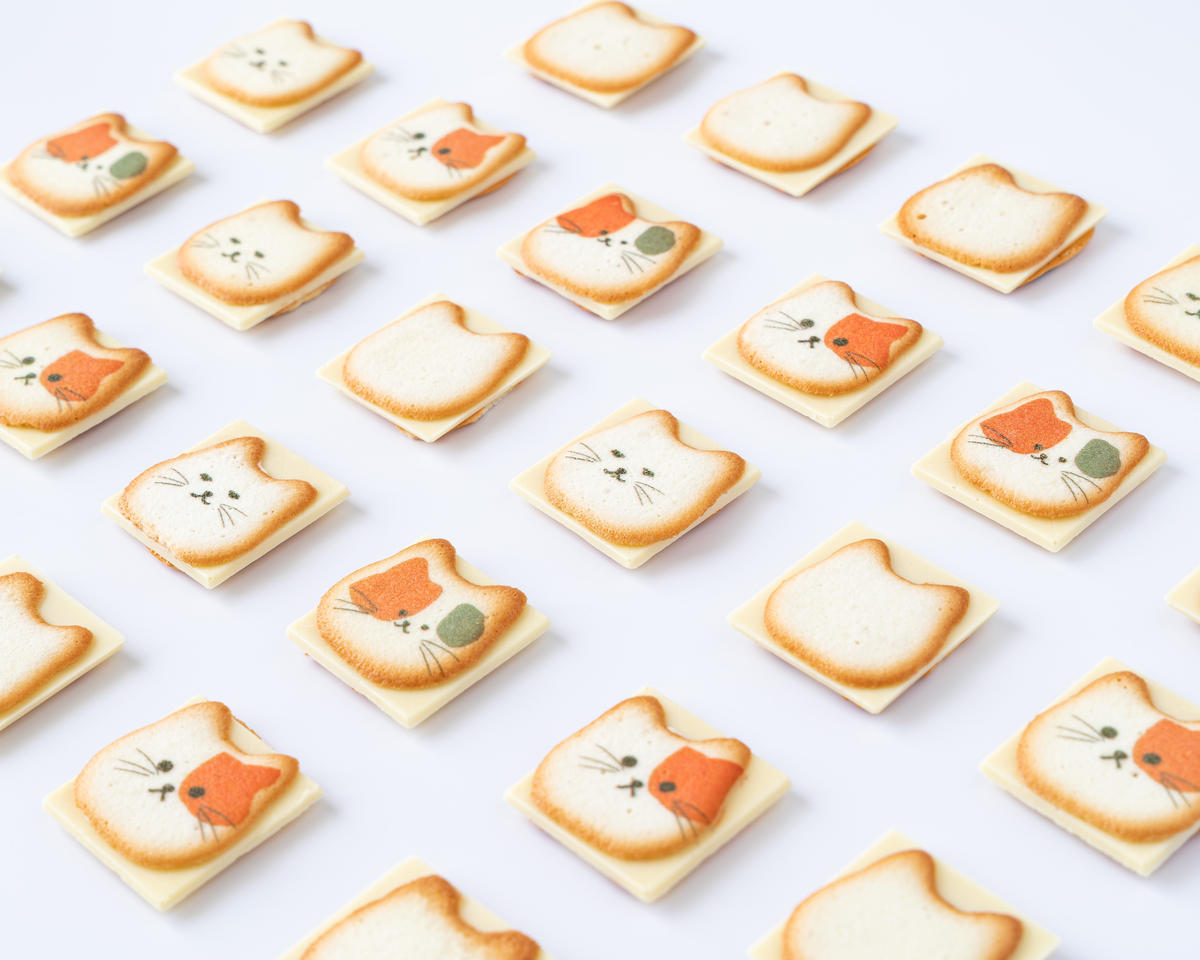 ネコまみれ 12個入り 猫 クッキー ラングドシャ シアワセは いつも ココから Mo