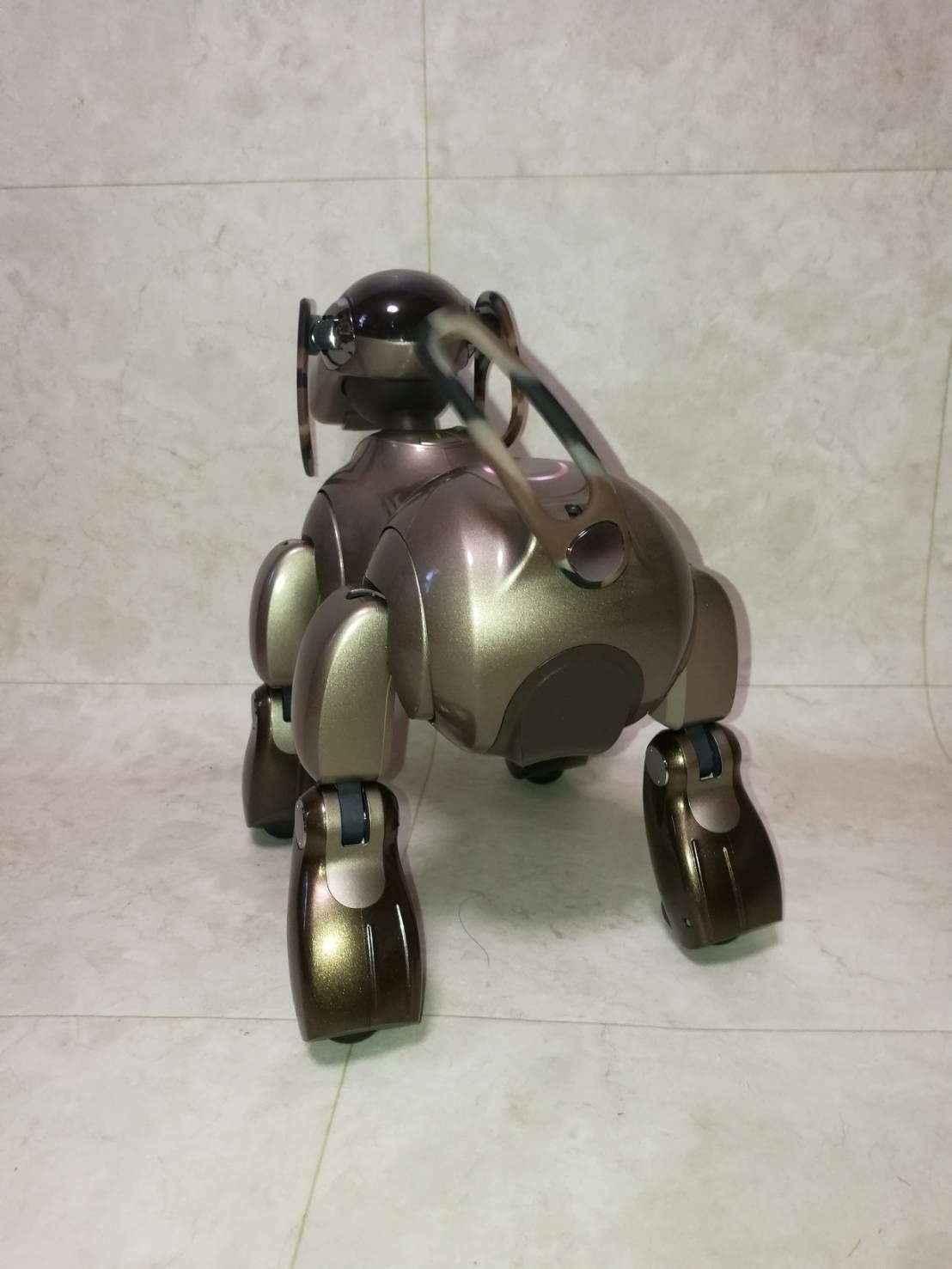 SONY - 旧型aibo ERS-7【限定色ハニーブラウン】 旧型aibo ERS-7【限定色ハニーブラウン】