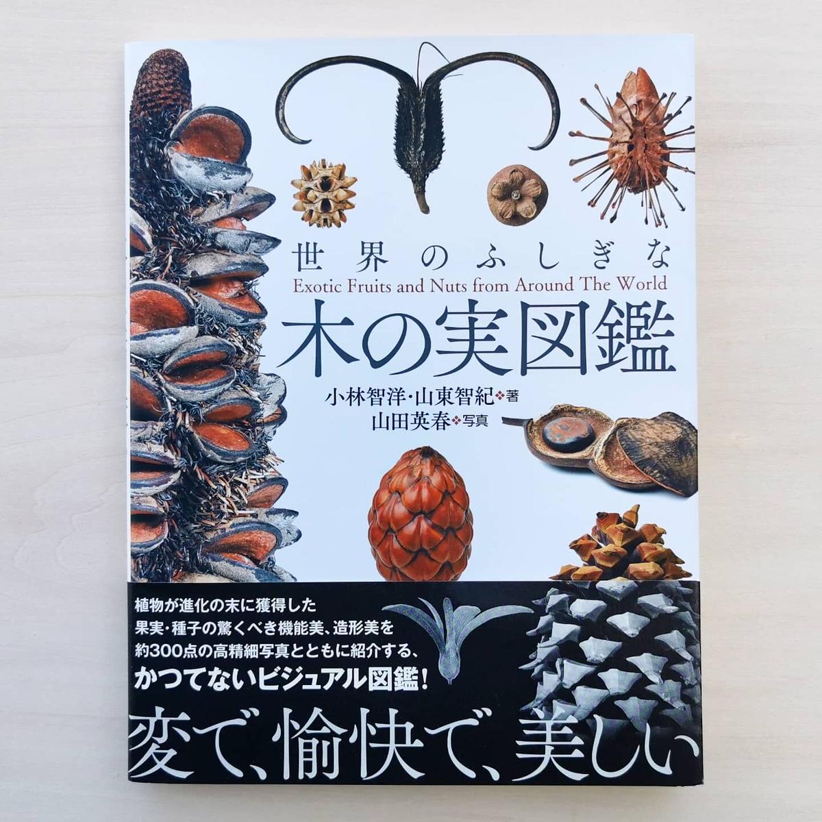 世界のふしぎな木の実図鑑 小林智洋 山東智紀 山田英春 Music Dept Store