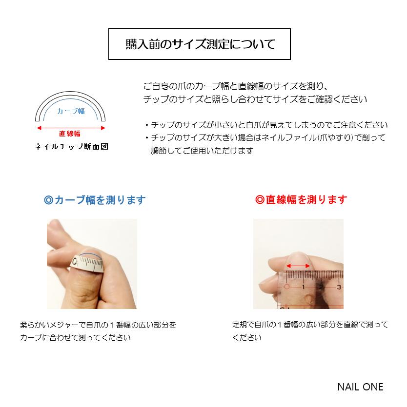 ネイルチップ 手描きトイプードル 006 Nail One