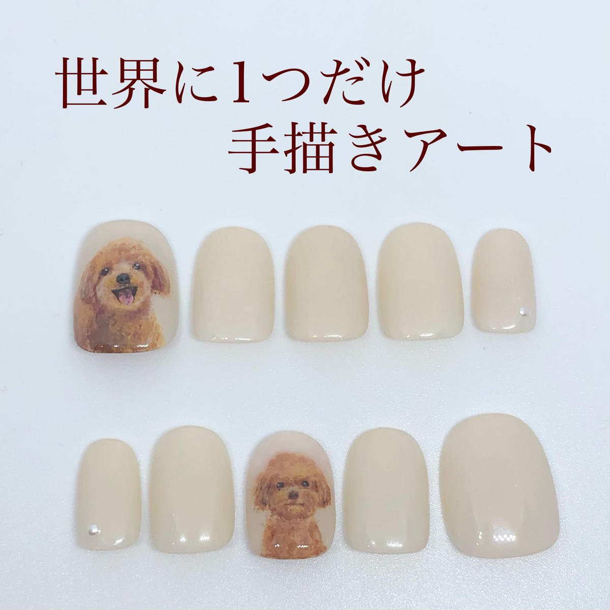 ネイルチップ 手描きトイプードル 006 Nail One