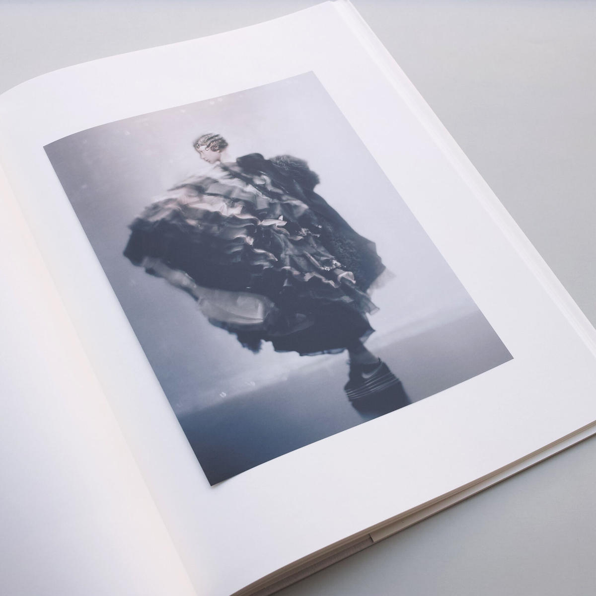 【特価】 値引き可】パオロ・ロベルシ写真集: PAOLO ROVERSI: BIRDS アート・デザイン・音楽