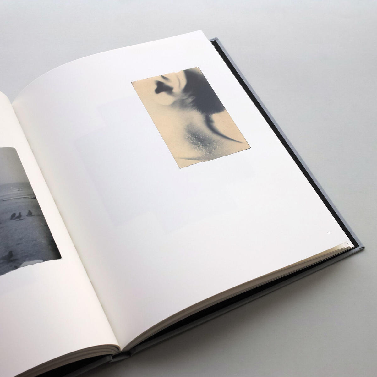 Masao Yamamoto / Small Things in Silence | POST