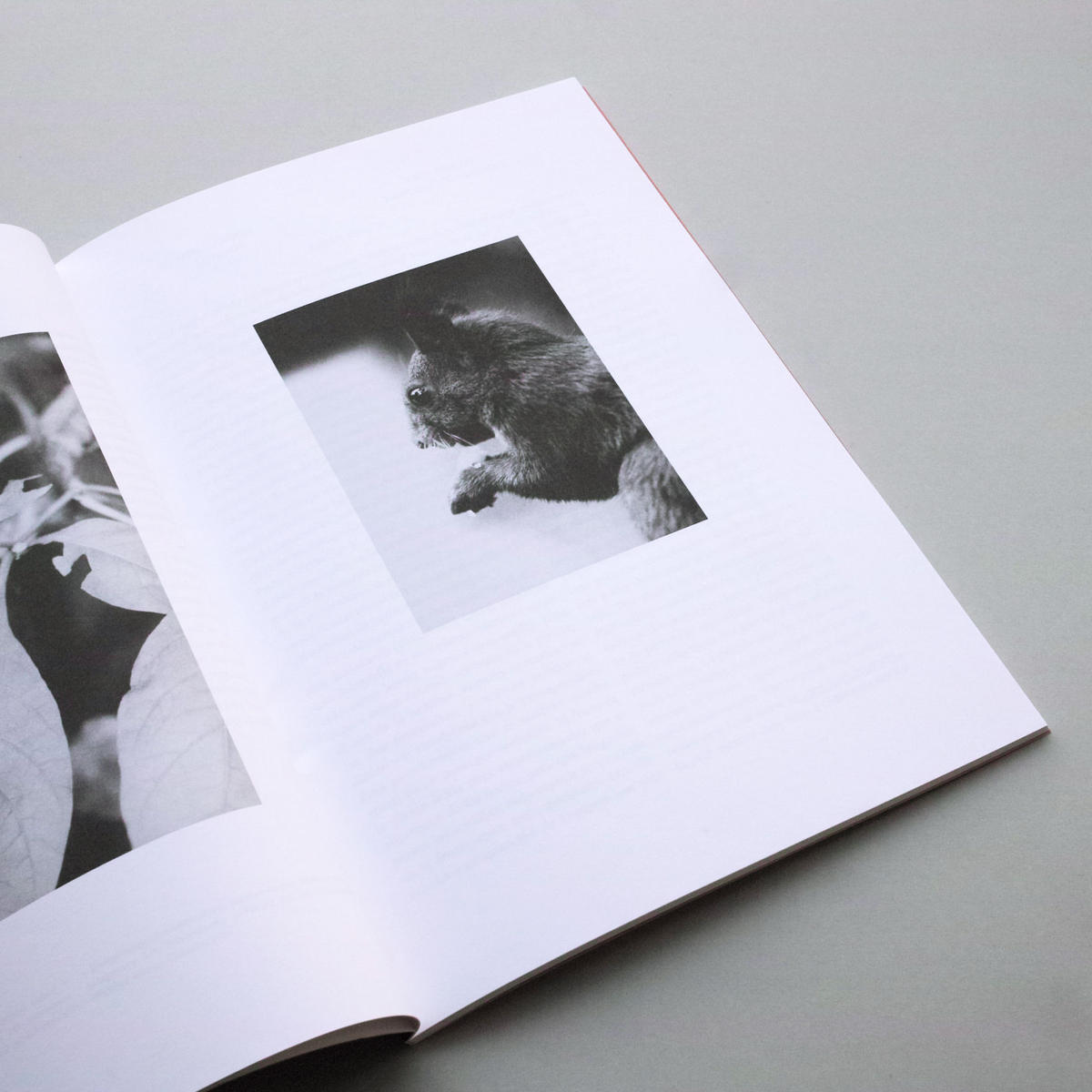 ヨハンレンペルトJochen Lempert