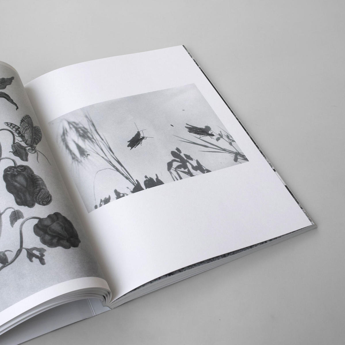 ヨハンレンペルトJochen Lempert