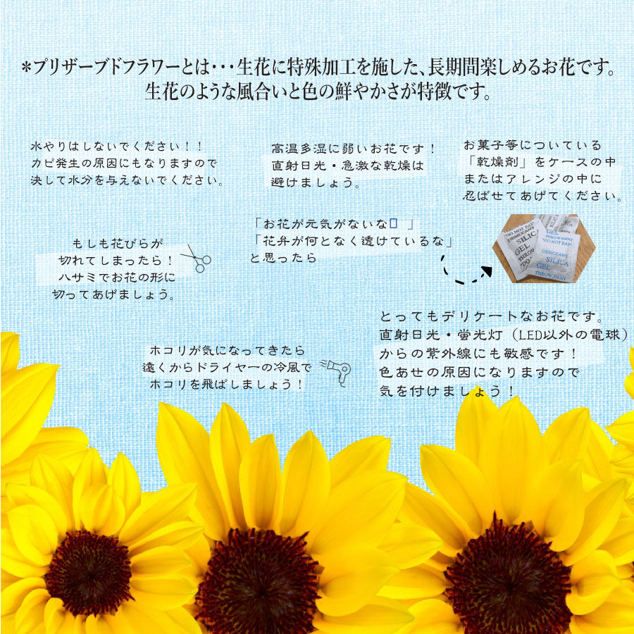 名入れ ひまわり プリザーブドフラワー Sunflower フラワーギフト 向日葵 フラワー