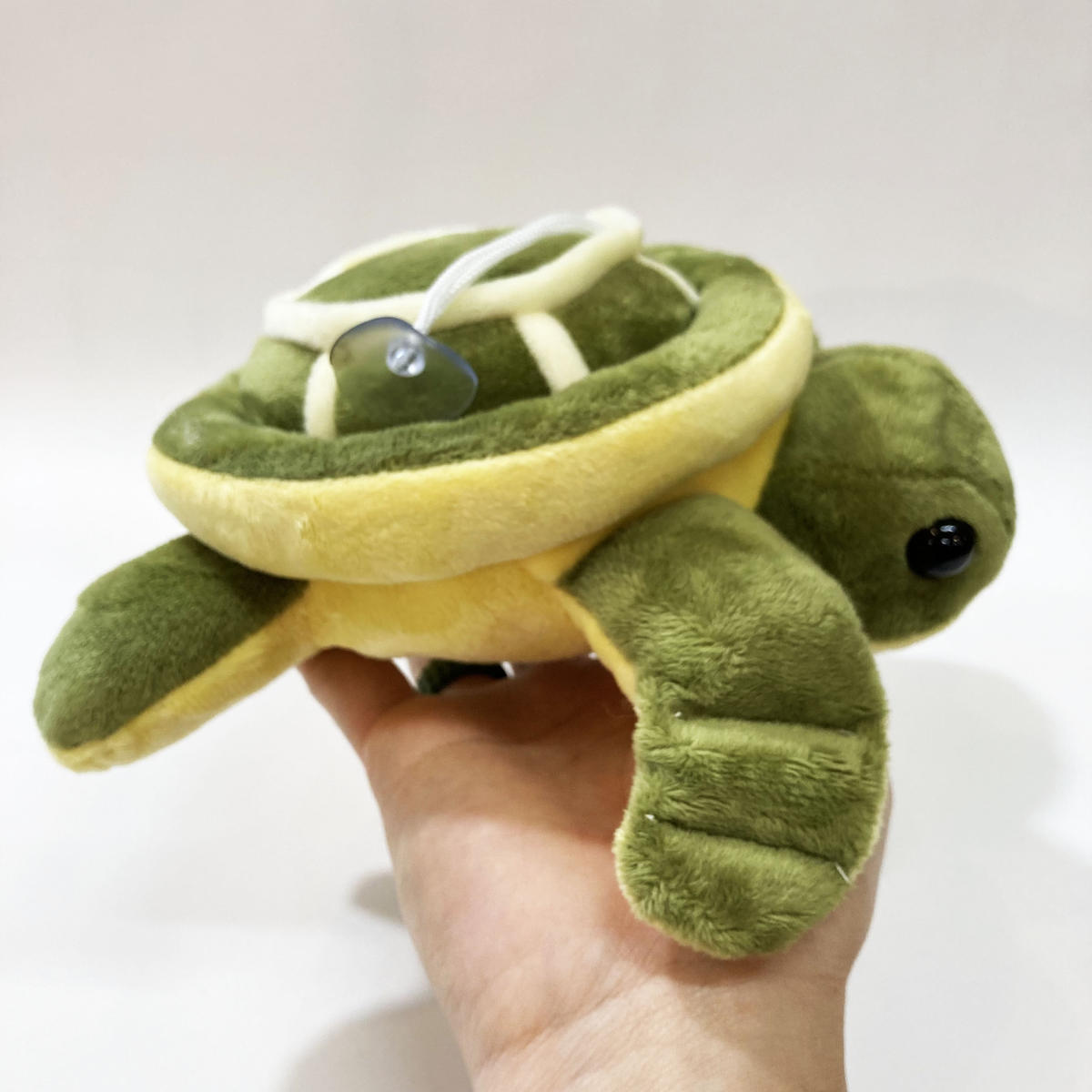 営業営業吸盤付き 亀 ぬいぐるみ ぬいぐるみ | blog.connectparts.com.br