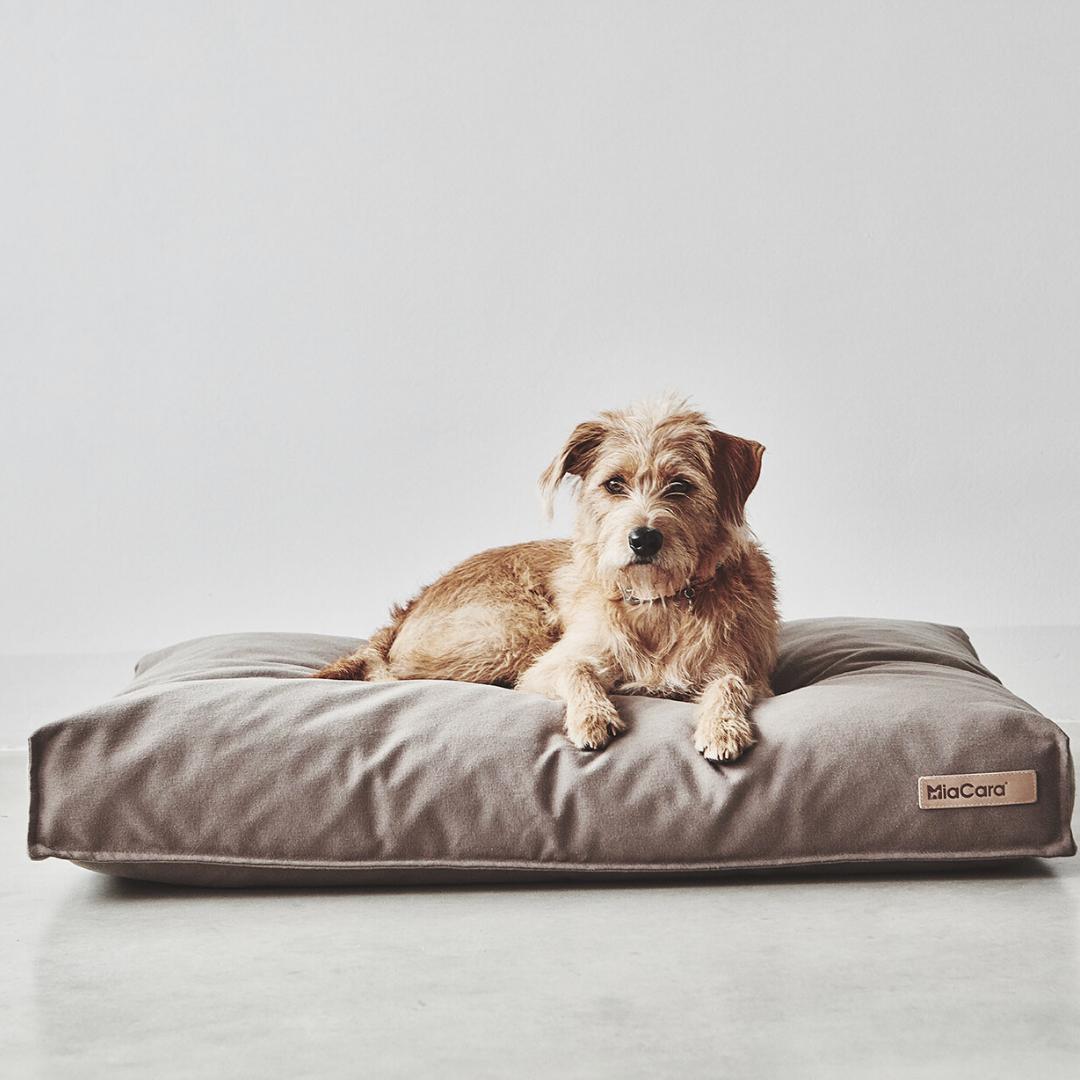 MiaCara ドッグクッションMade Germany in