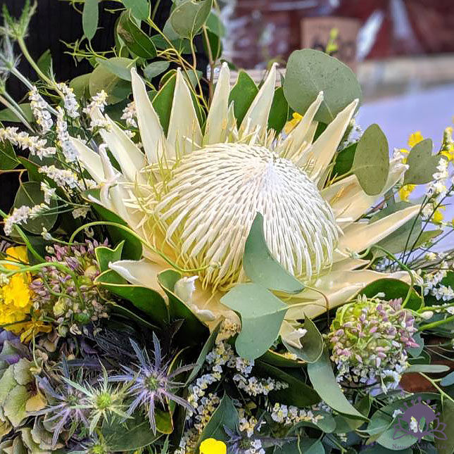 花束 ブーケ ホワイトキングプロテアとユーカリ ネイティブの花屋 花束 ブーケ ホワイトキングプロテアとユーカリ ネイティブの花屋