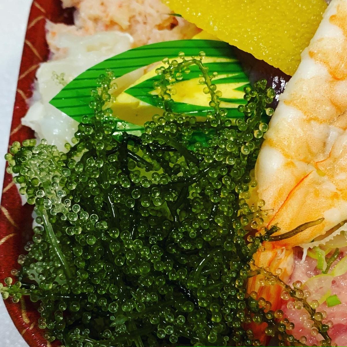 茎なしA級品 生！海ぶどう おまとめ大箱３ｋｇ（シークヮーサー果汁