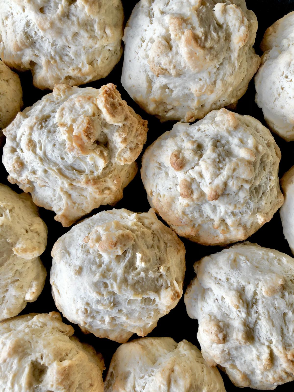 スペルト小麦のスコーン Branch