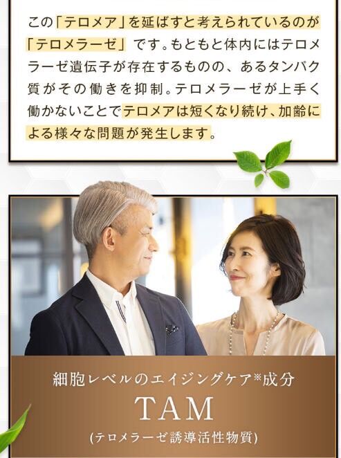 TAM 818配合　ロイヤルリッチテロメアスプレー10本セット TAM 818配合 ロイヤルリッチテロメアスプレー10本セット