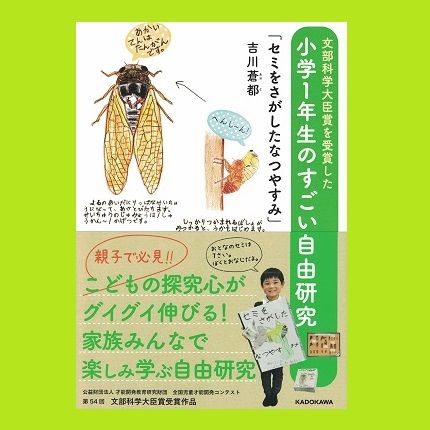 セミをさがしたなつやすみ 乃帆書房