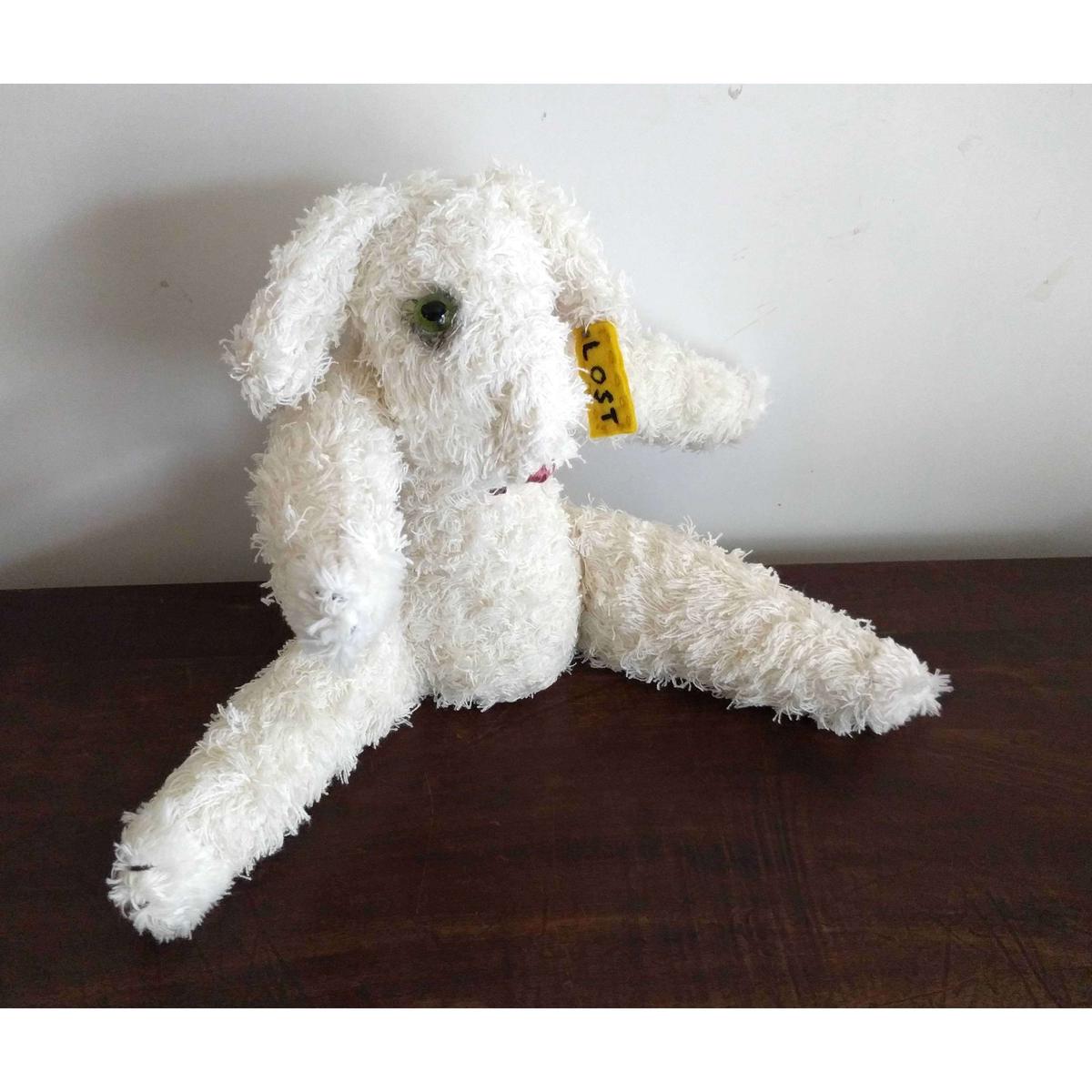 Ookamigocco Lost 犬 Nowaki